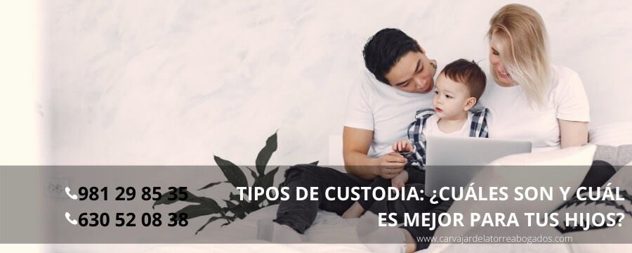 tipos de custodias